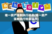 唯一房产强制执行拍卖(唯一房产强制执行拍卖程序)