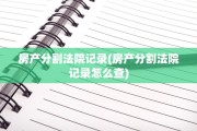 房产分割法院记录(房产分割法院记录怎么查)
