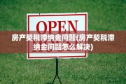 房产契税滞纳金问题(房产契税滞纳金问题怎么解决)