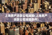 上海房产贷款公司加盟(上海房产贷款公司加盟条件)