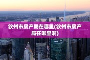 钦州市房产局在哪里(钦州市房产局在哪里啊)