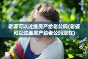 老婆可以过继房产给老公吗(老婆可以过继房产给老公吗现在)