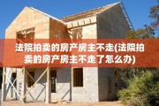 法院拍卖的房产房主不走(法院拍卖的房产房主不走了怎么办)