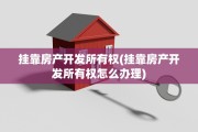 挂靠房产开发所有权(挂靠房产开发所有权怎么办理)