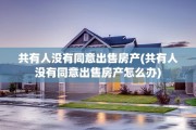 共有人没有同意出售房产(共有人没有同意出售房产怎么办)