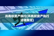 共有权房产执行(共有权房产执行法律规定)