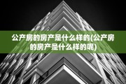 公产房的房产是什么样的(公产房的房产是什么样的呢)