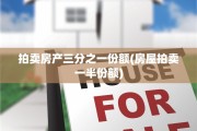 拍卖房产三分之一份额(房屋拍卖一半份额)