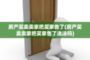 房产买卖卖家把买家告了(房产买卖卖家把买家告了违法吗)