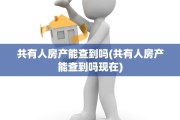 共有人房产能查到吗(共有人房产能查到吗现在)