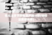 物权法关于共有房产的分割(物权法房屋共有)