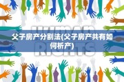父子房产分割法(父子房产共有如何析产)