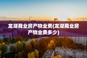 龙湖商业房产物业费(龙湖商业房产物业费多少)