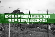 如何查房产原来的土地状况(如何查房产原来的土地状况信息)
