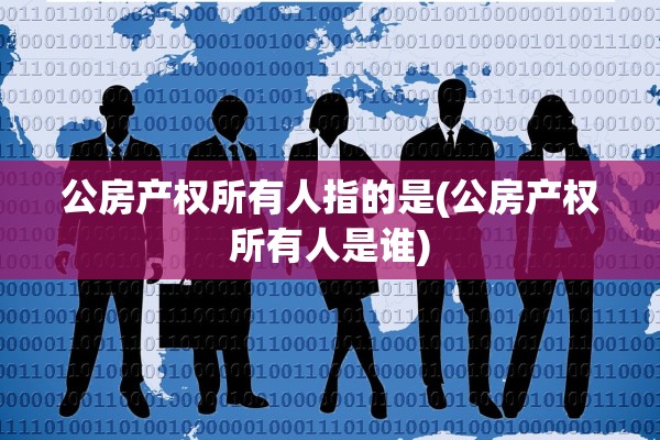 公房产权所有人指的是(公房产权所有人是谁)