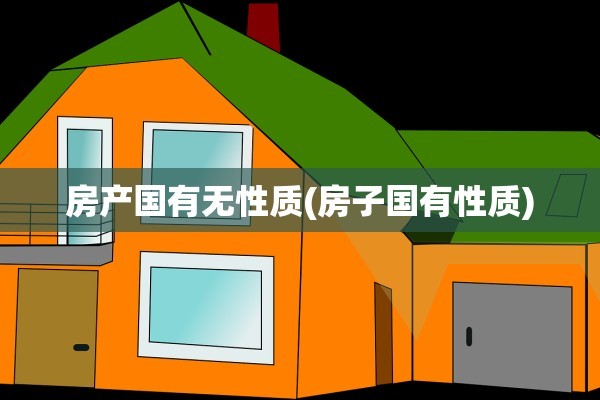 房产国有无性质(房子国有性质)