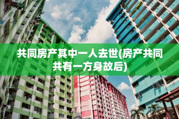 共同房产其中一人去世(房产共同共有一方身故后)
