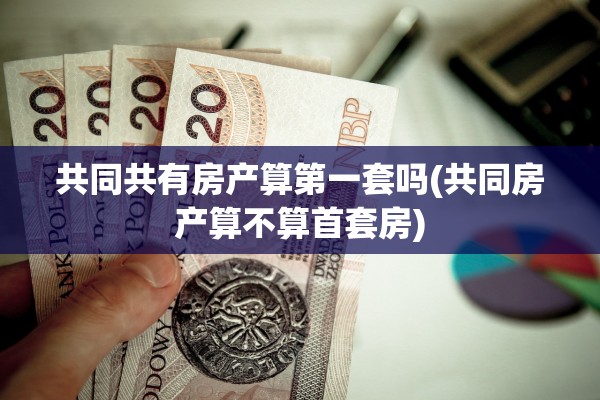 共同共有房产算第一套吗(共同房产算不算首套房)