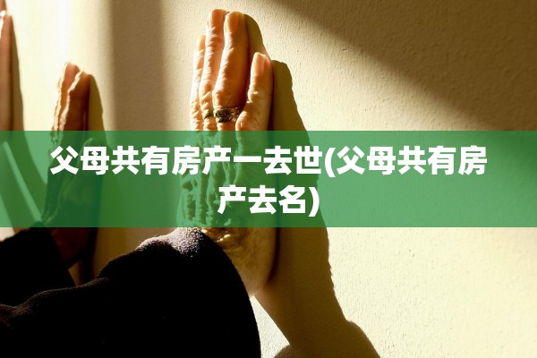 父母共有房产一去世(父母共有房产去名)