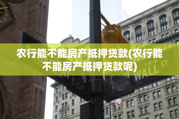 农行能不能房产抵押贷款(农行能不能房产抵押贷款呢)
