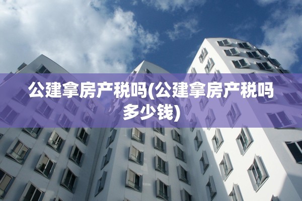 公建拿房产税吗(公建拿房产税吗多少钱)