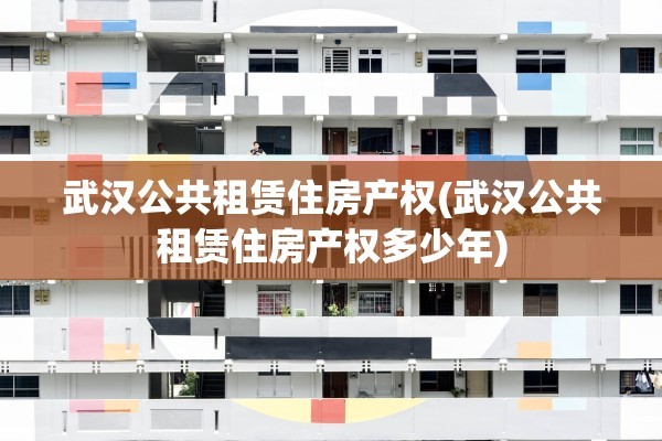 武汉公共租赁住房产权(武汉公共租赁住房产权多少年)