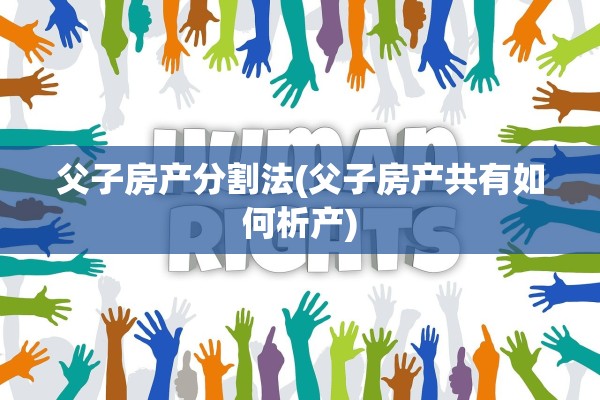 父子房产分割法(父子房产共有如何析产)