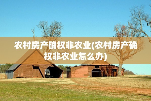 农村房产确权非农业(农村房产确权非农业怎么办)