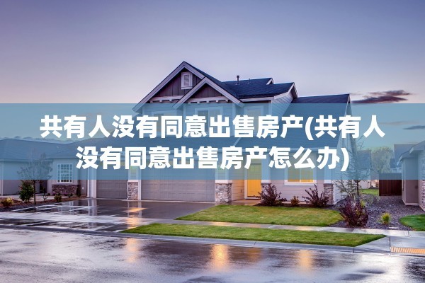 共有人没有同意出售房产(共有人没有同意出售房产怎么办)