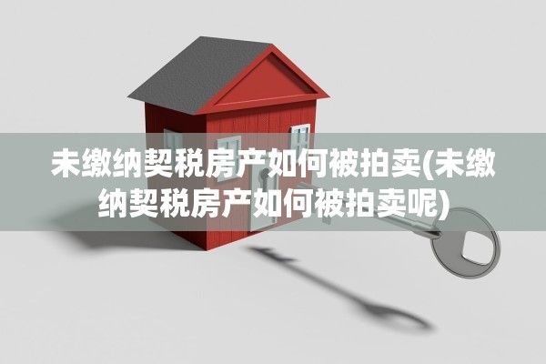 未缴纳契税房产如何被拍卖(未缴纳契税房产如何被拍卖呢)
