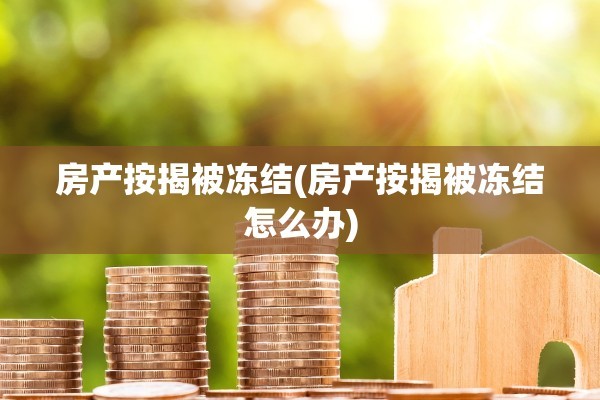 房产按揭被冻结(房产按揭被冻结怎么办)