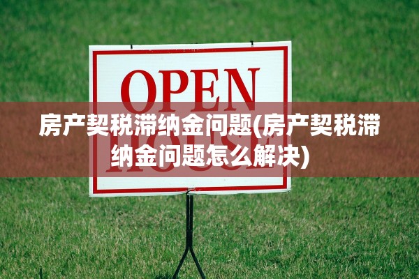 房产契税滞纳金问题(房产契税滞纳金问题怎么解决)