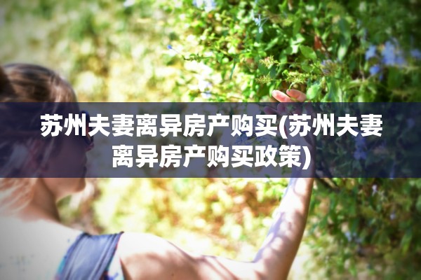 苏州夫妻离异房产购买(苏州夫妻离异房产购买政策)