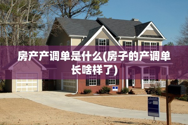房产产调单是什么(房子的产调单长啥样了)