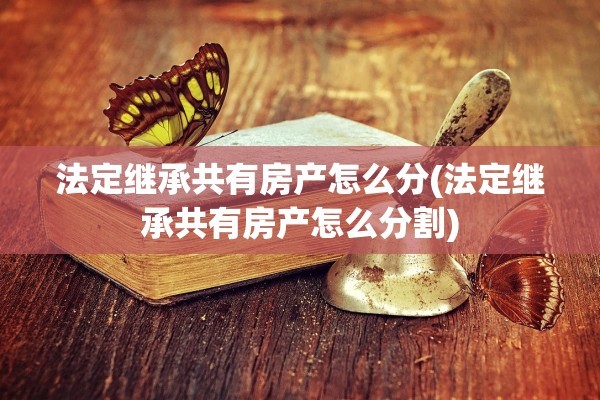 法定继承共有房产怎么分(法定继承共有房产怎么分割)