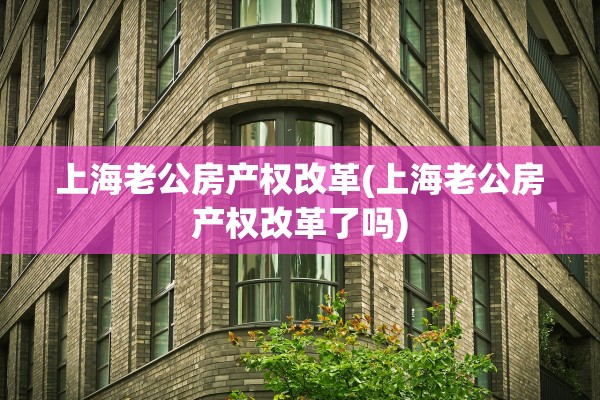 上海老公房产权改革(上海老公房产权改革了吗)