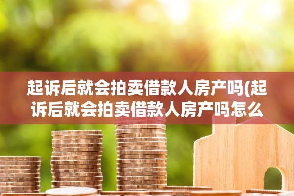 起诉后就会拍卖借款人房产吗(起诉后就会拍卖借款人房产吗怎么办)
