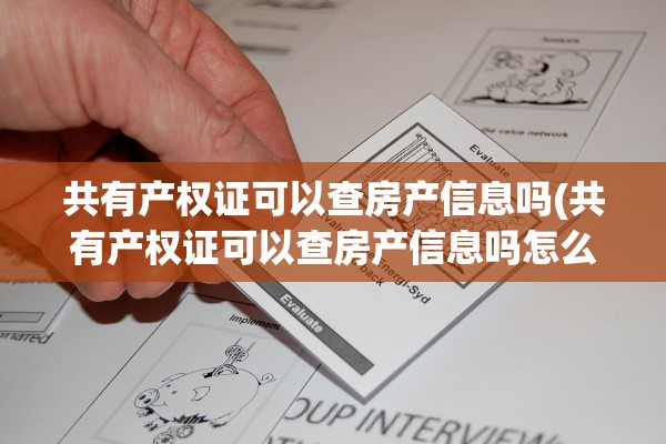 共有产权证可以查房产信息吗(共有产权证可以查房产信息吗怎么查)