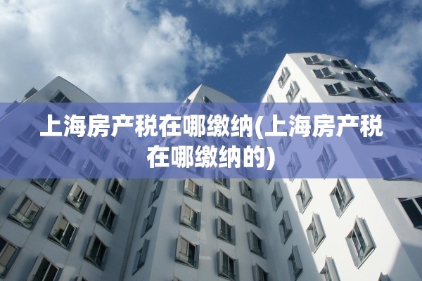 上海房产税在哪缴纳(上海房产税在哪缴纳的)