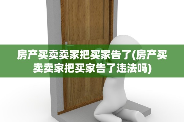 房产买卖卖家把买家告了(房产买卖卖家把买家告了违法吗)