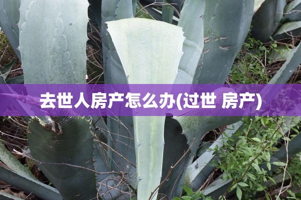去世人房产怎么办(过世 房产)