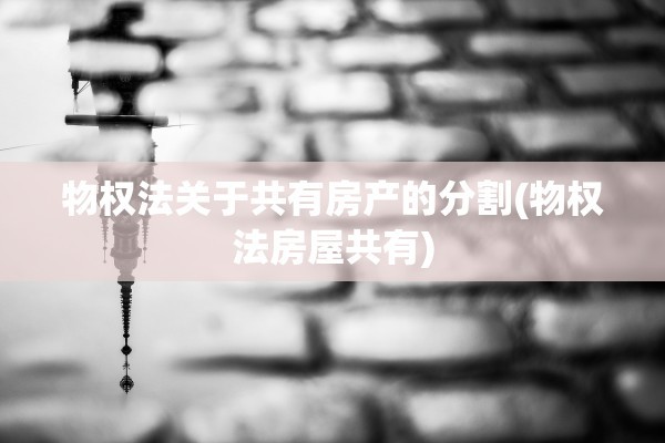 物权法关于共有房产的分割(物权法房屋共有)