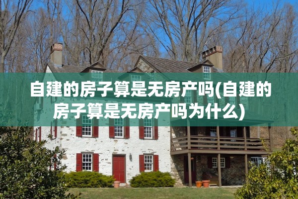 自建的房子算是无房产吗(自建的房子算是无房产吗为什么)