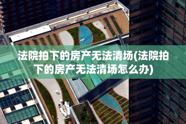 法院拍下的房产无法清场(法院拍下的房产无法清场怎么办)