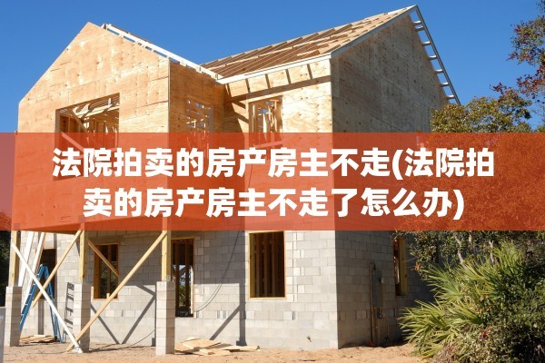 法院拍卖的房产房主不走(法院拍卖的房产房主不走了怎么办)
