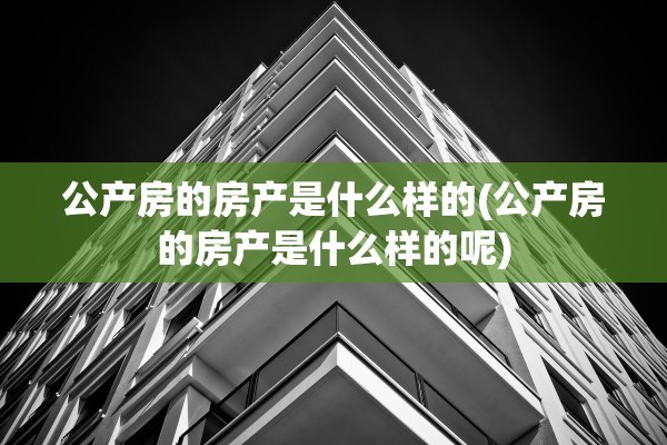 公产房的房产是什么样的(公产房的房产是什么样的呢)