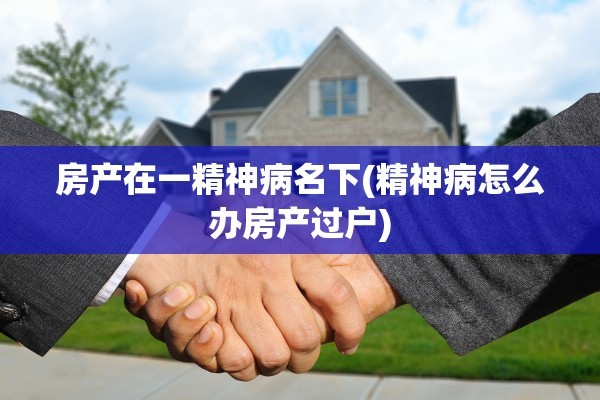 房产在一精神病名下(精神病怎么办房产过户)